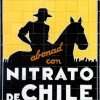 03 Nitrato de Chile